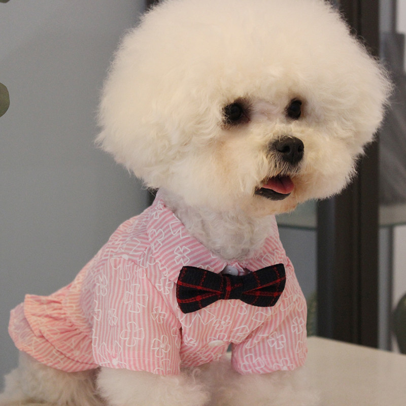 狗狗春夏衬衫宠物立体花裙情侣装泰迪比熊博美法斗约克夏薄棉衣服
