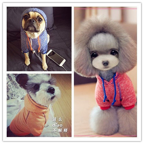 博美泰迪小狗狗衣服棉质帽衫T恤雪纳瑞比熊茶杯犬T恤吉娃娃小鹿犬