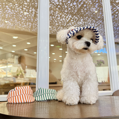 新款宠物狗狗猫咪条纹遮阳帽时尚可爱泰迪比熊雪纳瑞帽子扮靓饰品