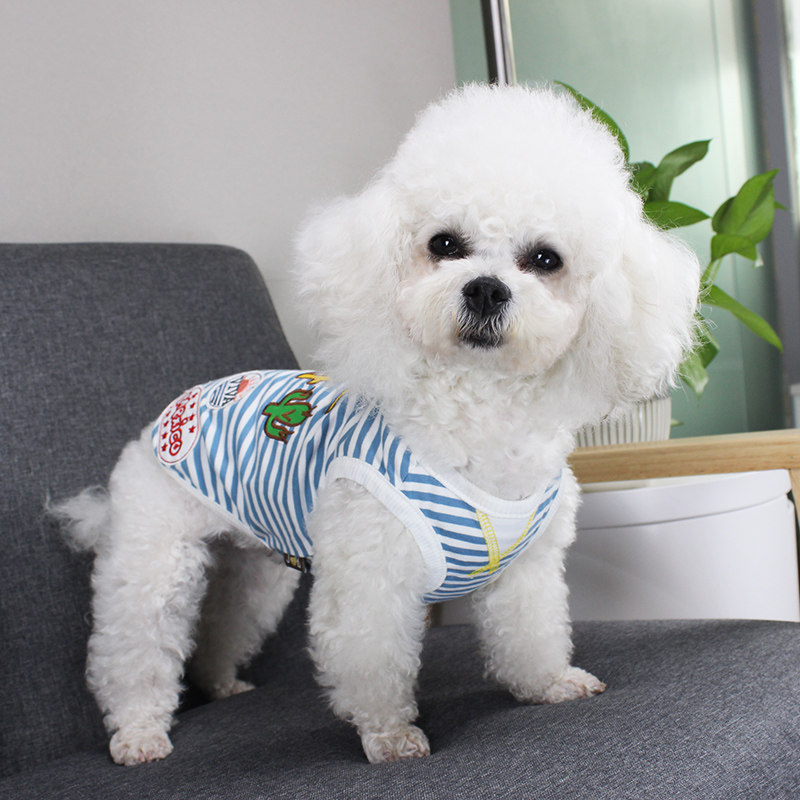 宠物衣服狗狗仙人掌背心秋冬全棉无袖背心泰迪比熊雪纳瑞博美衣服,宠物/宠物食品及用品,狗宠物服装/雨衣,淘宝优惠券,粉丝福利购,淘宝优惠卷