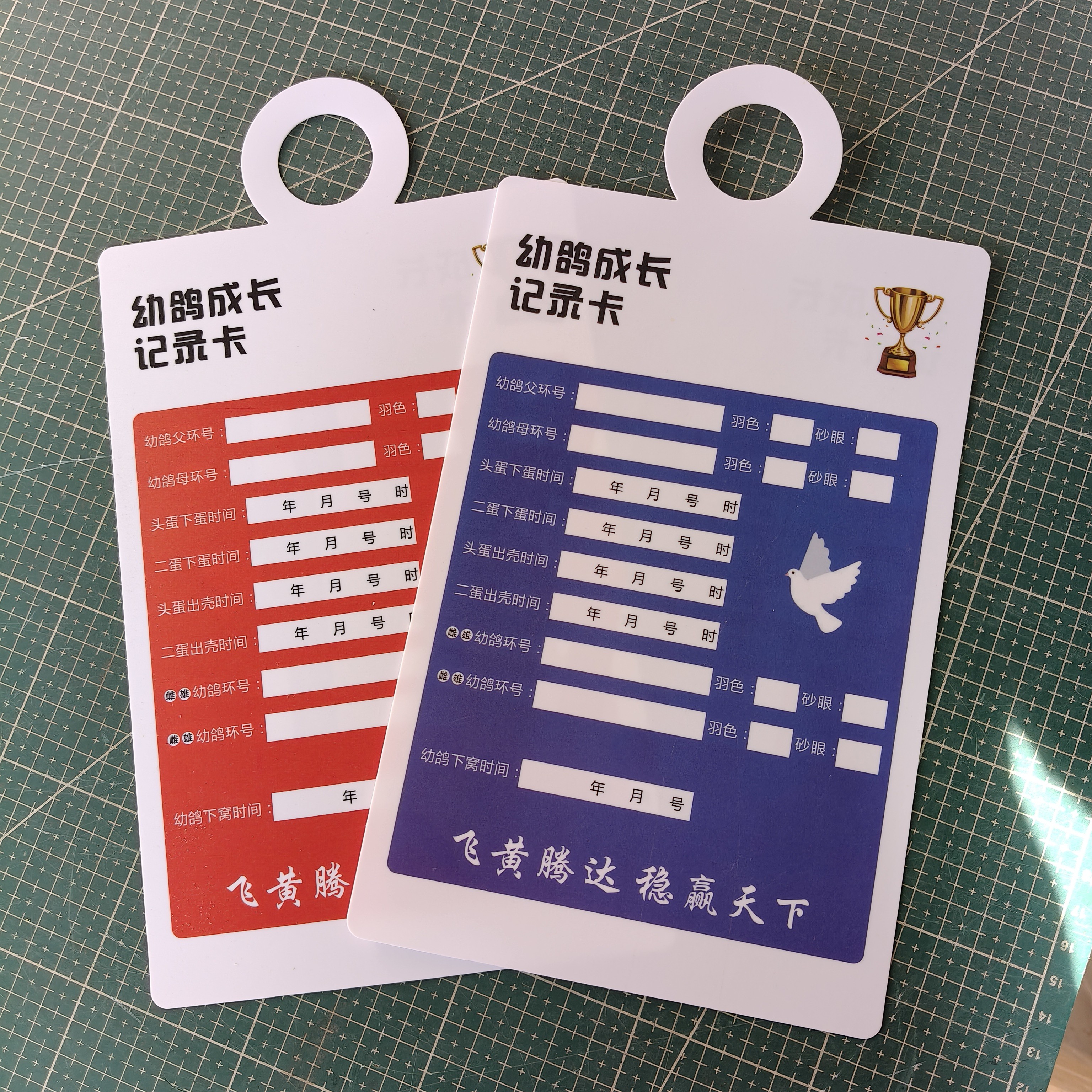 幼鸽成长记录卡鸽子识别册用品血统书幼鸽记录卡片可反复使用