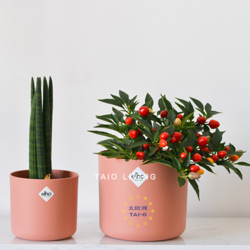 elho花盆绿植无孔圆盆简约荷兰