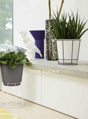 【迎春特惠】ELHO荷兰创意落地式花盆两用铁托花架室内绿植盆栽