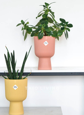 【迎春特惠】荷兰ELHO时尚磨砂花盆VIBES栅栏竖纹INS风绿植无孔