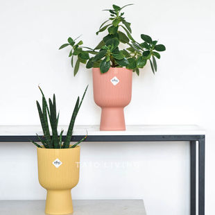 【迎春特惠】荷兰ELHO时尚磨砂花盆VIBES栅栏竖纹INS风绿植无孔