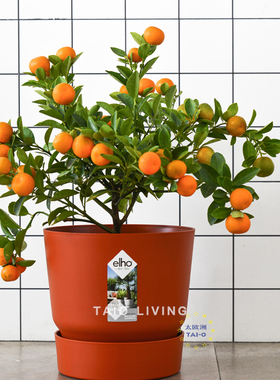 【迎春特惠】Elho荷兰制户外绿植GREENVILLE大花盆含底盆植物盆