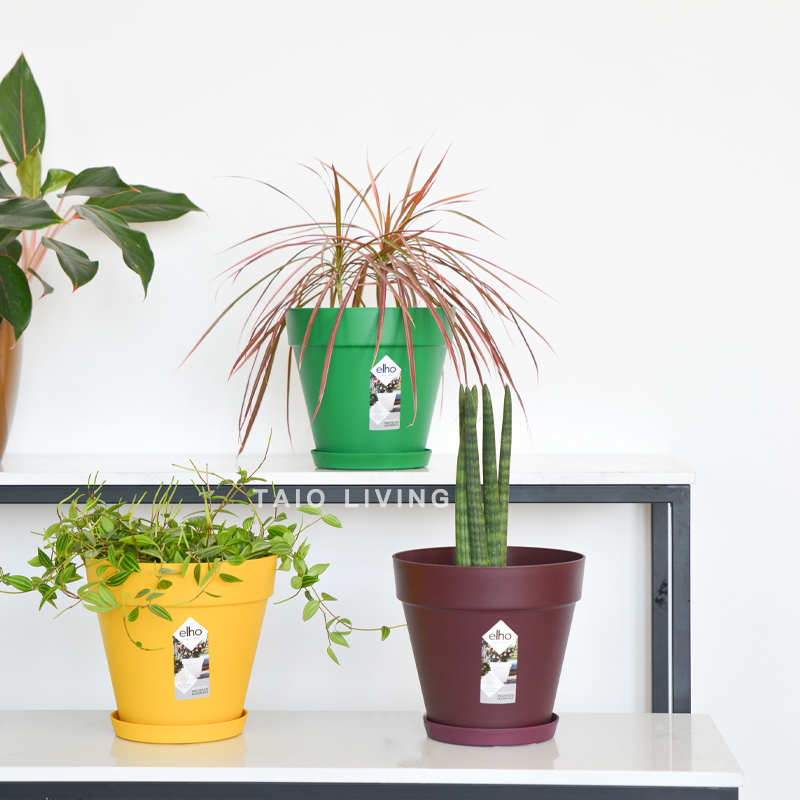 【7.5折清仓】荷兰Elho现代LoftUrban花盆含可沥水底盘室内绿植盆