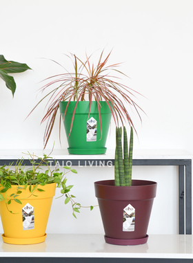 【迎春特惠】荷兰Elho现代LoftUrban花盆含可沥水底盘室内绿植盆