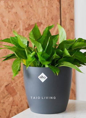 【迎春特惠】荷兰Elho大号花盆绿植盆栽布鲁塞尔现代时尚室内盆