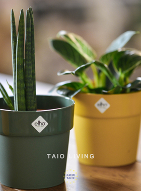 【迎春特惠】荷兰ELHO高品质绿植花盆家用圆花盆无孔B forOrigin