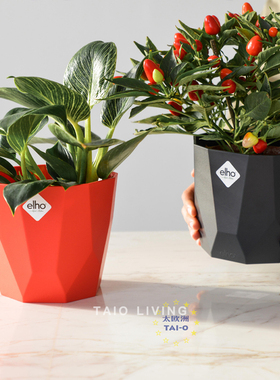 【迎春特惠】荷兰Elho钻石纹花盆B for Rock高品质室内绿植盆栽