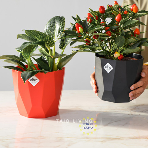 elho钻石纹rock简约风绿植盆栽
