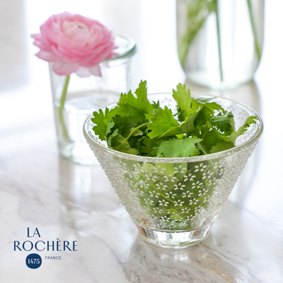 LA ROCHERE法式碎花玻璃小碗 V型花纹透明沙拉水果酸奶碗法国制
