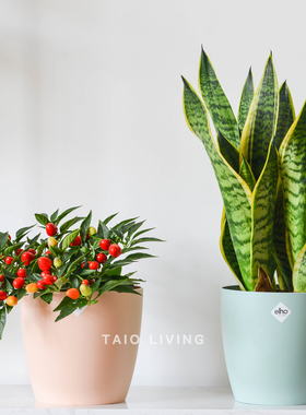 【迎春特惠】荷兰Elho布鲁塞尔大花盆简约风室内绿植大号种植盆