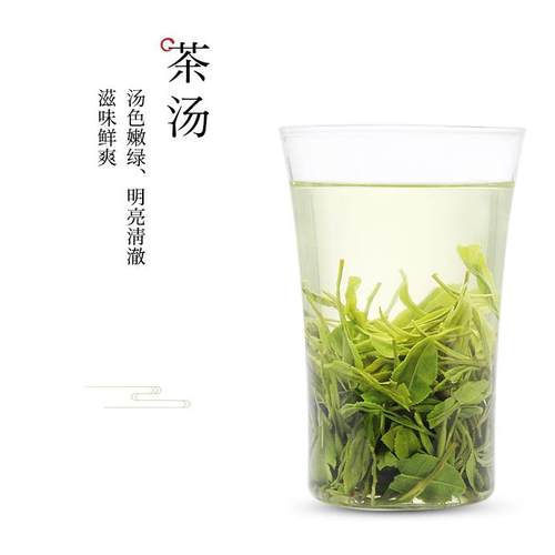 信阳浓香毛尖河南特产信阳散装绿茶毛尖新茶高山荒野茶栗香清汤