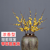 腊梅花带花苞干枝素心蜡梅鲜切花水培植物耐寒遇水开花浓香型