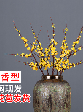 腊梅花带花苞干枝素心蜡梅鲜切花水培植物耐寒遇水开花浓香型