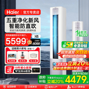 雷神者 海爾空調(diào)一級(jí)能效3匹變頻冷暖客廳新風(fēng)增氧凈化空氣