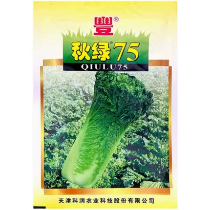 秋绿75 新津绿75 大白菜种子 冬储 青麻叶蔬菜种子天津农科院科润