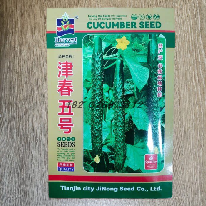 天津科润黄瓜津春五号种子菜园种