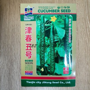 津春五号黄瓜种子高产早熟耐寒四季播种早春大棚露地种子耐寒早熟