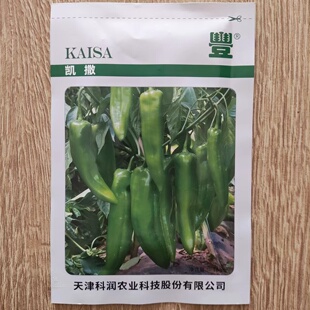 凯撒 牛角椒种子 天津农科院科润蔬菜研究研制蔬菜种子辣椒菜种籽