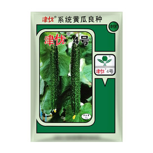 津优4号 津春八号黄瓜种子50克春秋露地秋延后大棚越夏绿瓤种植
