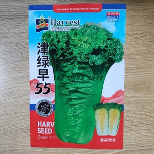 津绿55 60 75 78大白菜种子青麻叶高产大青麻叶耐运直筒形耐重茬