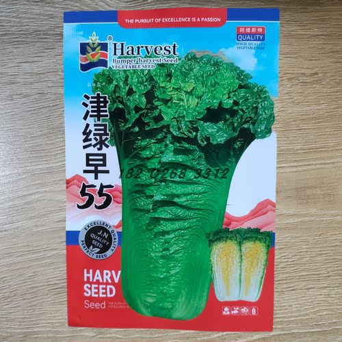 津绿55 60 75 78大白菜种子青麻叶高产大青麻叶耐运直筒形耐重茬