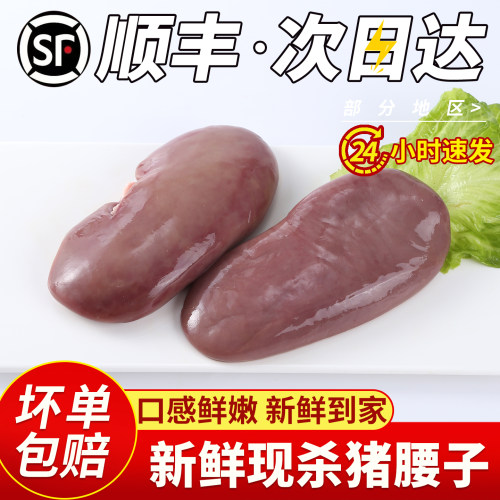 顺丰包邮新鲜冷冻猪腰子