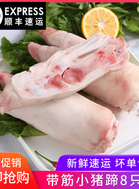 顺丰新鲜猪蹄冷冻爪子带筋