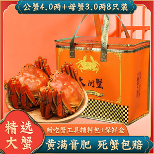 活蟹鲜活大闸蟹公4.0两母3.0两8只礼盒特大螃蟹鲜活水产生态养殖