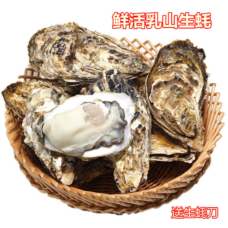 超大生蚝鲜活3斤装生吃带壳海蛎子即食新鲜海鲜顺丰包邮