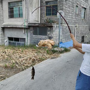 中国风复古怀旧竹子鱼竿超强韧性手竿鲫鱼竿小溪河流韧性竹子鱼竿