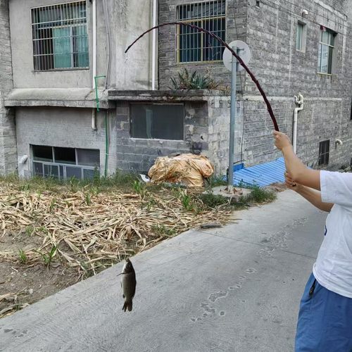 中国风复古怀旧竹子鱼竿超强韧性手竿鲫鱼竿小溪河流韧性竹子鱼竿