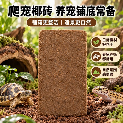 爬宠适用冬眠椰土椰砖优质垫料