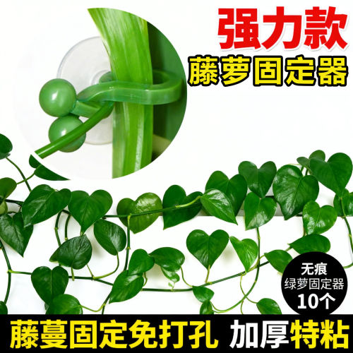 绿萝爬墙固定器绿植攀爬绿植爬墙神器夹子墙上挂钩粘爬藤杆子