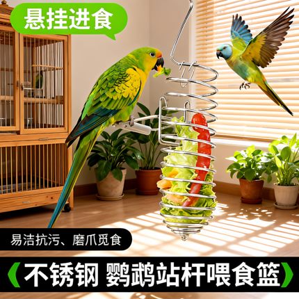鸟类喂食器不锈钢水果蔬菜篮悬挂式玩具鹦鹉投喂工具鸟笼配件用品