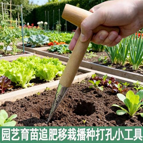 播种打洞器移苗追肥种菜农用育苗菜籽多肉工具播籽花园种苗工具