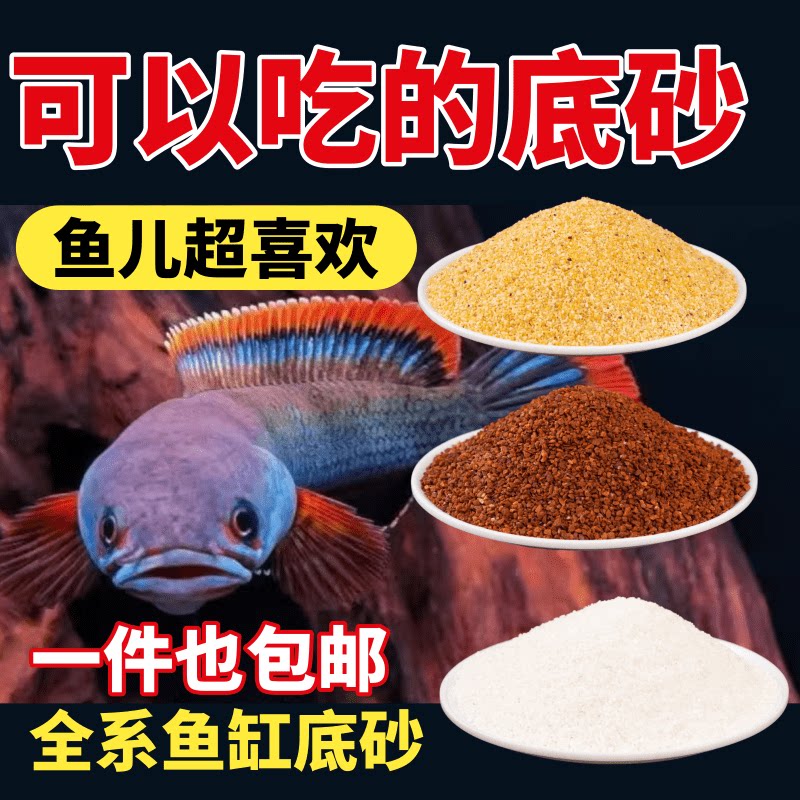鱼缸造景石头彩石头天然河沙铺底雨林沙造景沙子鱼缸底沙彩色石子图片