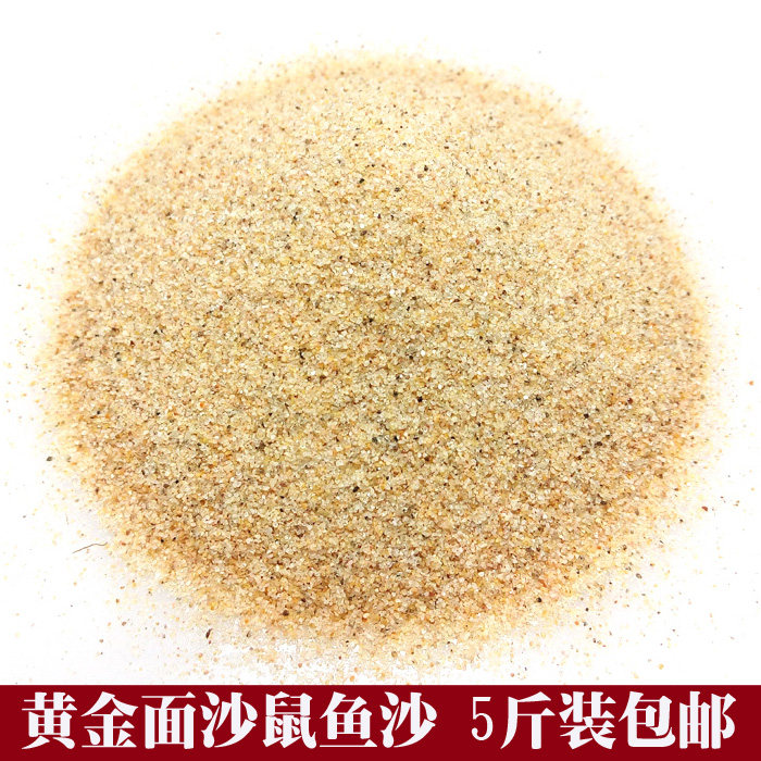 黄金沙三湖南美缸鼠鱼底砂鱼缸造景底沙河沙黄色细沙化妆沙水草砂