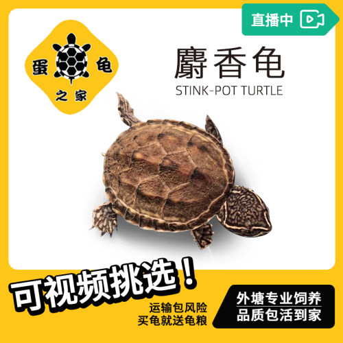 深水互动强性价比高新手推荐