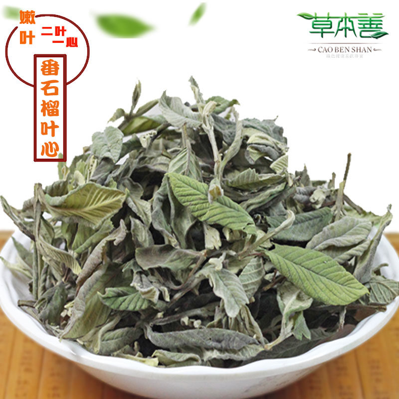 草本善野生番石榴叶心番石榴茶芭乐叶番石叶心二叶一心叶芯血糖茶