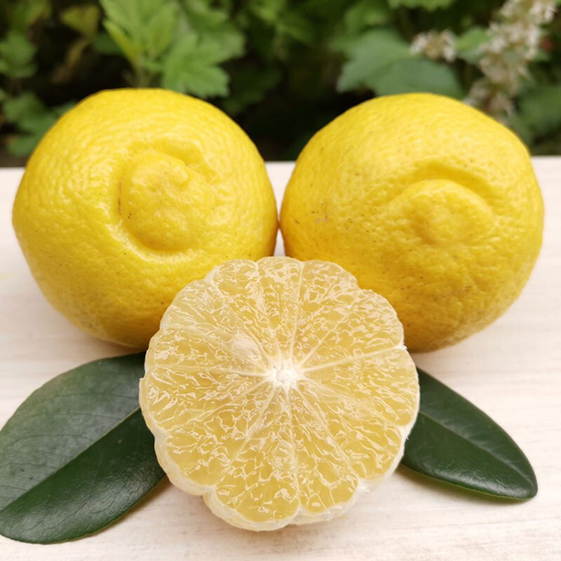 湖南怀化黄金贡柚新鲜水果现摘现发象山青桔柚洪江安江纯甜橘柚子,水产肉类/新鲜蔬果/熟食,柚子,淘宝优惠券,粉丝福利购,淘宝优惠卷