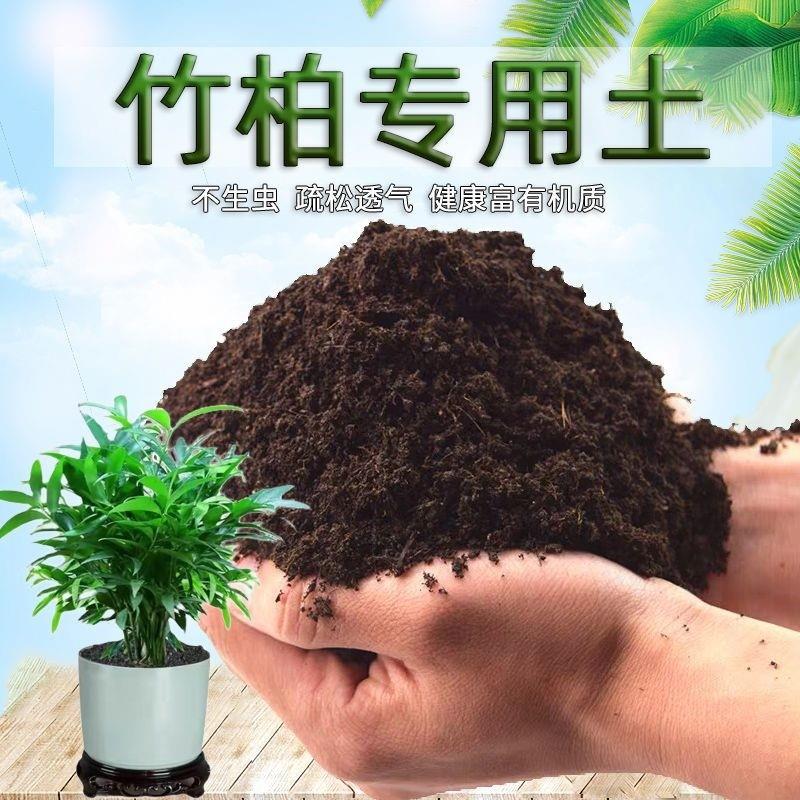 竹柏专用土竹柏营养土壤盆栽种花土种植土通用养花土花卉有机肥料