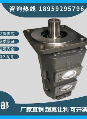 天津PERMCO泊姆克齿轮泵双联泵煤机吊车钻机配套双联泵1121012672
