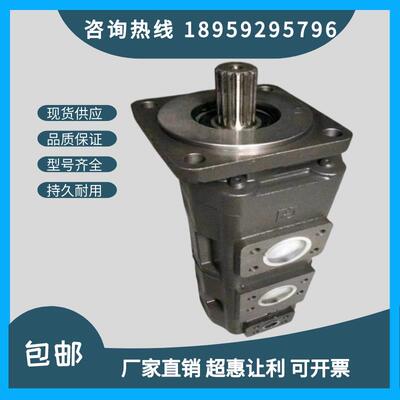 天津PERMCO泊姆克齿轮泵双联泵煤机吊车钻机配套双联泵1121012672