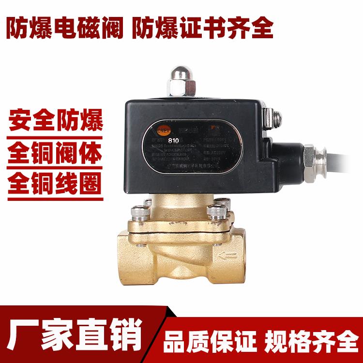 4分防爆电磁阀 6分煤气阀 1寸全铜阀 2寸 220V 24V 带防爆合格证