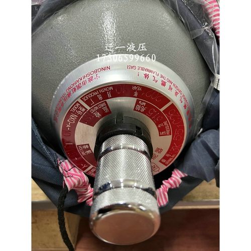 NXQA-6.3/31.5-L-Y囊式液压蓄能器NXQA-0.4 25 32 40 50 80/20 10