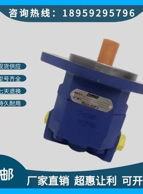 天津PERMCO泊姆克齿轮泵P124-G25085LD54液压泵钻机吊车煤车配套